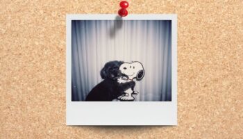 trend-polaroid-nano-banana