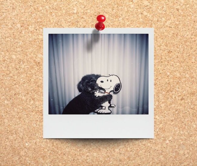 trend-polaroid-nano-banana