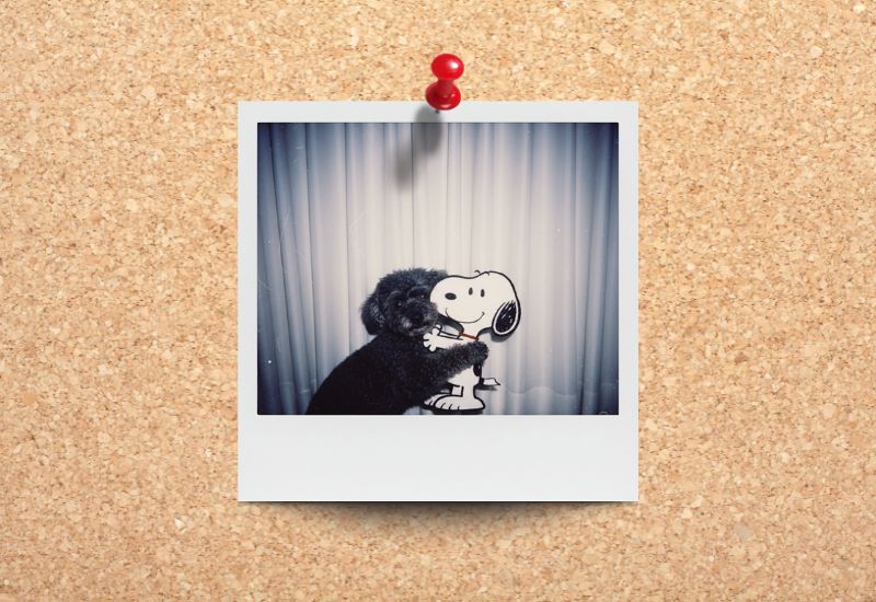 Tutorial del trend viral de la cámara Polaroid con IA